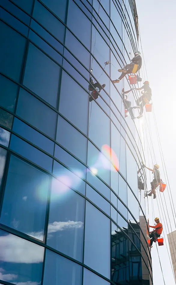 Gebäudereinigung - Zwei männliche gebäudereiniger seilen sich ab von einem großen gebäude mit riesigen Fensterfronten - Clean Team